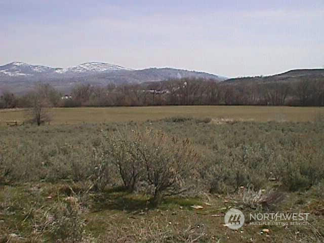 0 TBD E RIDGE DRIVE, OMAK, WA 98841, photo 1