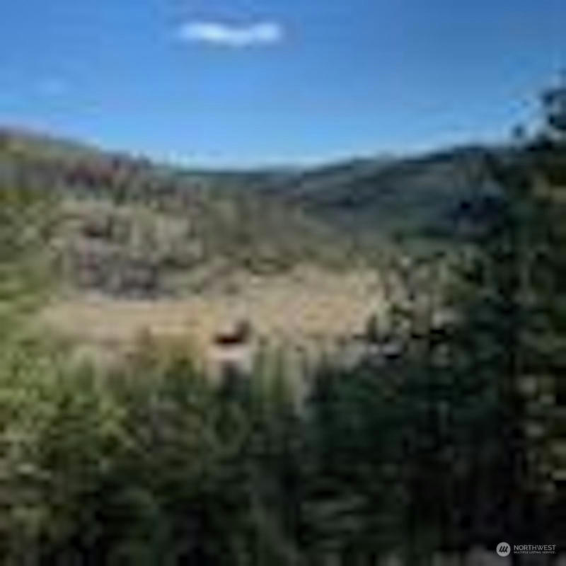 0 LOT 2 SCENIC RUFFED GROUSE DRIVE, DAVENPORT, WA 99122, photo 1 of 20