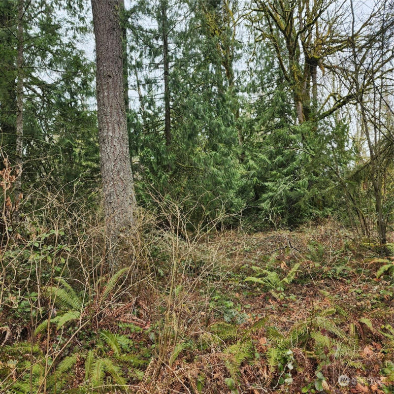 0 VACANT LAND, MAPLE VALLEY, WA 98038, photo 1 of 5