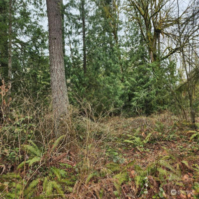 0 VACANT LAND, MAPLE VALLEY, WA 98038 - Image 1