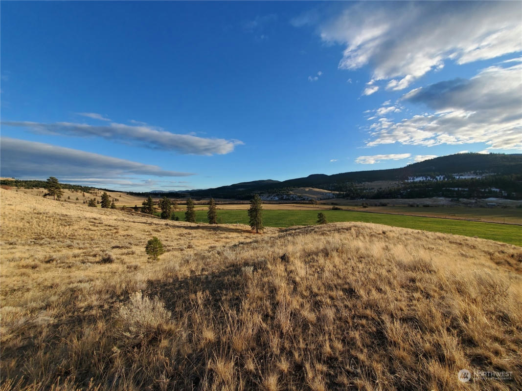 0 LOT 9 STATE ROUTE 20 & AENEAS VALLEY ROAD, TONASKET, WA 98855, photo 1 of 40