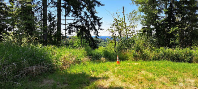 0 LOOP LOT 2 ROAD, CENTRALIA, WA 98531, photo 3 of 12