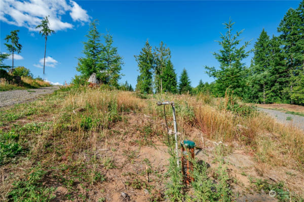 0 LOT 7 S SILVER LAKE ROAD, CASTLE ROCK, WA 98611, photo 2 of 7