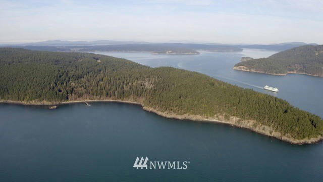 0 LOT 1 THATCHER PASS -THE HERMITAGE ROAD, DECATUR ISLAND, WA 98221, photo 2 of 10