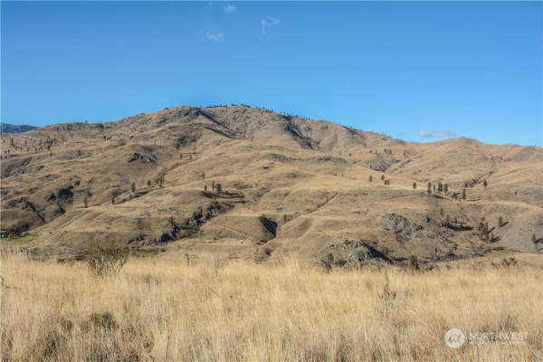 6 COWBOY RD, METHOW, WA 98834, photo 3 of 16