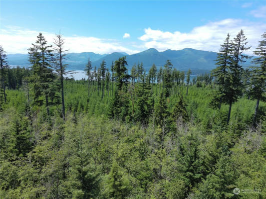 4 MT WALKER VIEW DR, QUILCENE, WA 98376 - Image 1