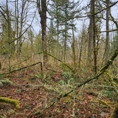 0 VACANT LAND, MAPLE VALLEY, WA 98038, photo 5 of 5