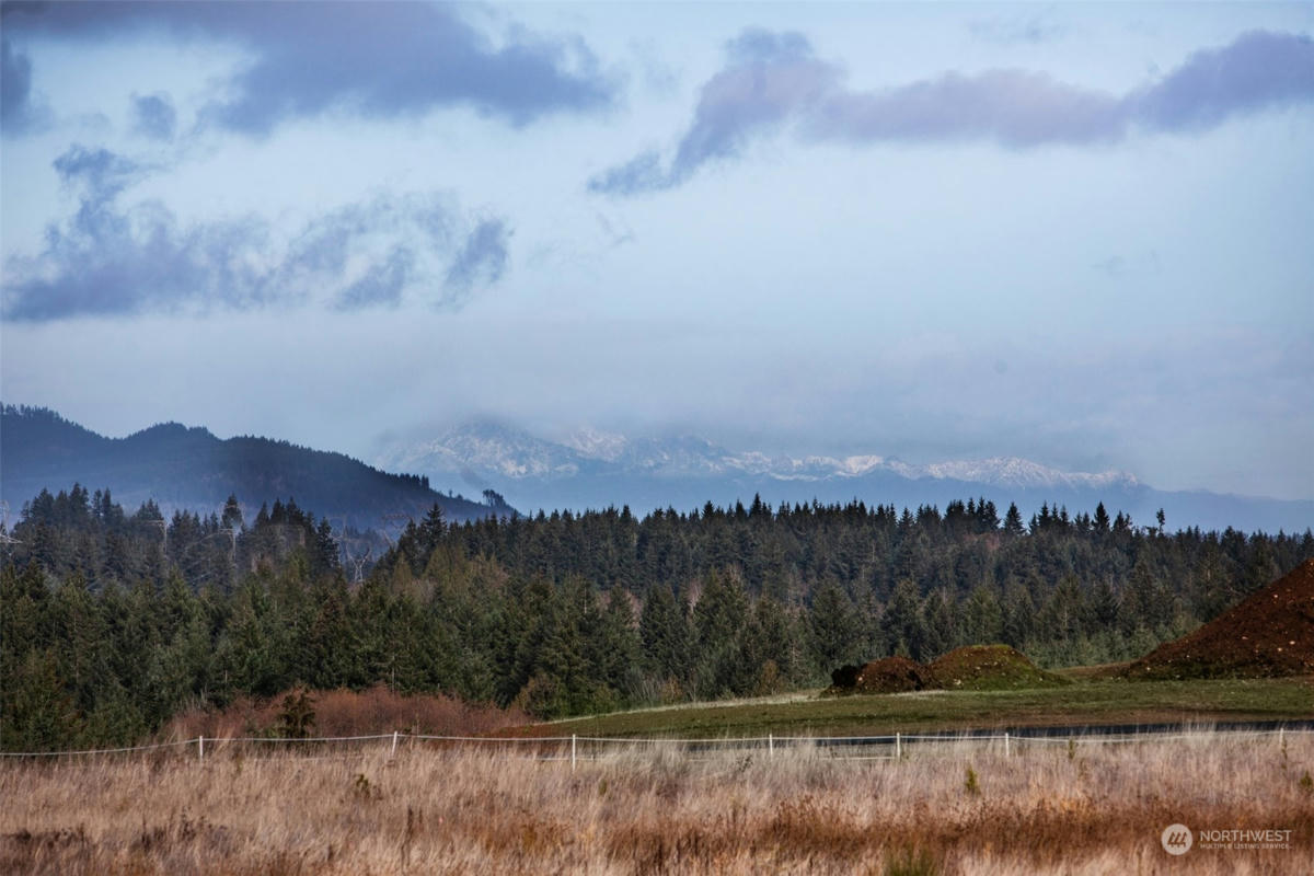 14010 QUIET WATERS LN SW, ROCHESTER, WA 98579, photo 1 of 14