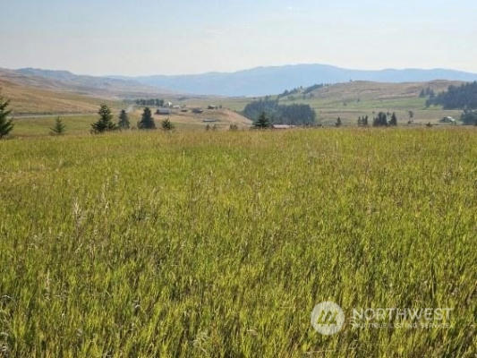 35 MOOSE MOUNTAIN ROAD # LOT J, OROVILLE, WA 98844 - Image 1