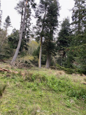 0 LOT 4 FAUNTLEROY POINT DR., DECATUR ISLAND, WA 98221, photo 4 of 8