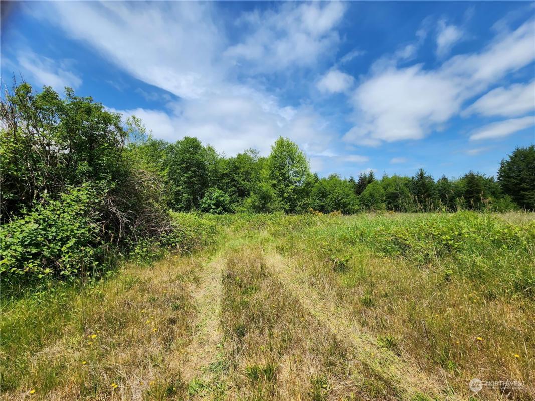 0 BLUEBERRY ROAD, ELMA, WA 98541, photo 1 of 4