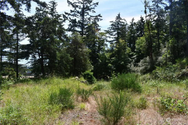 375 MARGUERITE PL, FRIDAY HARBOR, WA 98250 Vacant Land For Sale | MLS ...