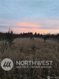 3 XX FIRST STREET, COSMOPOLIS, WA 98537, photo 1