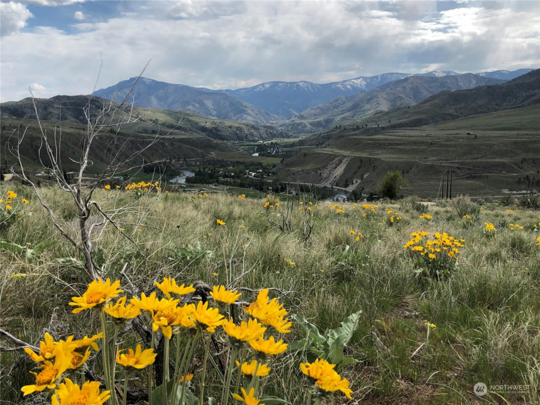 2 RIVERBEND OVERLOOK, METHOW, WA 98834, photo 1 of 8