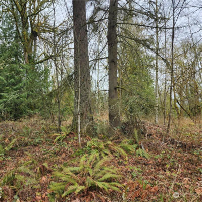 0 VACANT LAND, MAPLE VALLEY, WA 98038, photo 3 of 5