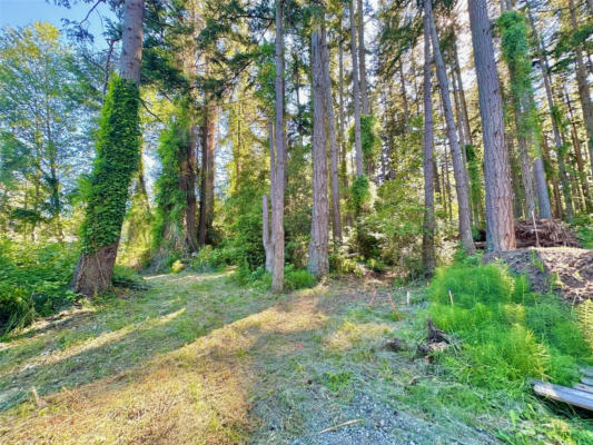0 LOT 2 ENCHANTED FOREST ROAD, ORCAS ISLAND, WA 98245 - Image 1