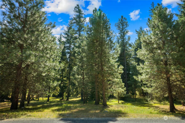 951 SNOWBERRY LOOP, CLE ELUM, WA 98922 - Image 1