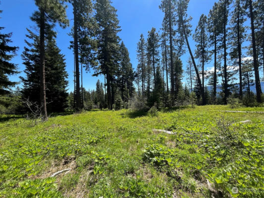 20257 LOT A R&R HEIGHTS, ROSLYN, WA 98941 - Image 1