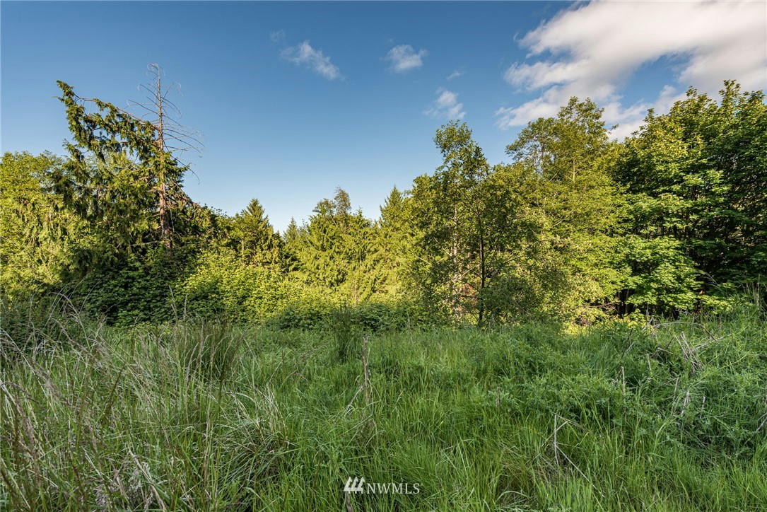 9999 ELK PASS ROAD # LOT 8, SEQUIM, WA 98382, photo 1 of 28