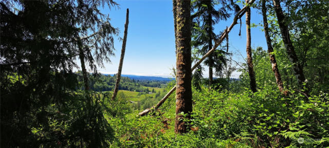 0 LOOP LOT 2 ROAD, CENTRALIA, WA 98531, photo 4 of 12