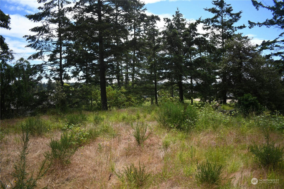 375 MARGUERITE PL, FRIDAY HARBOR, WA 98250 Vacant Land For Sale | MLS ...